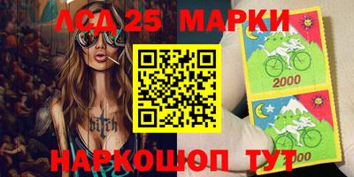 МДПВ Славгород