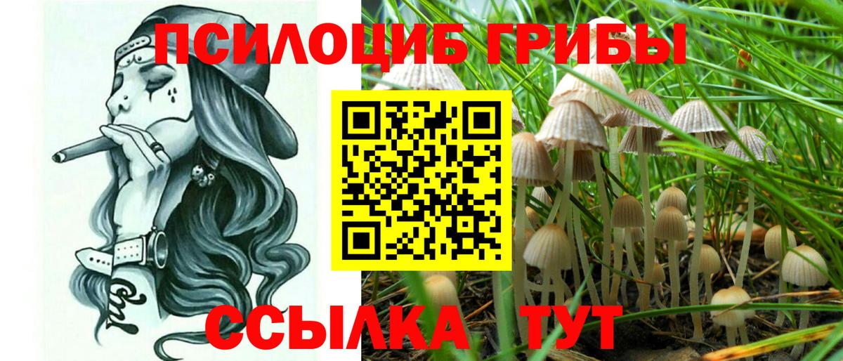 Псилоцибиновые грибы Magic Shrooms Муравленко